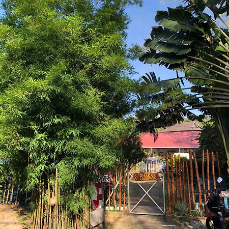 Shaka Garden House Langkawi Apartment Пантай Ченанг Екстериор снимка